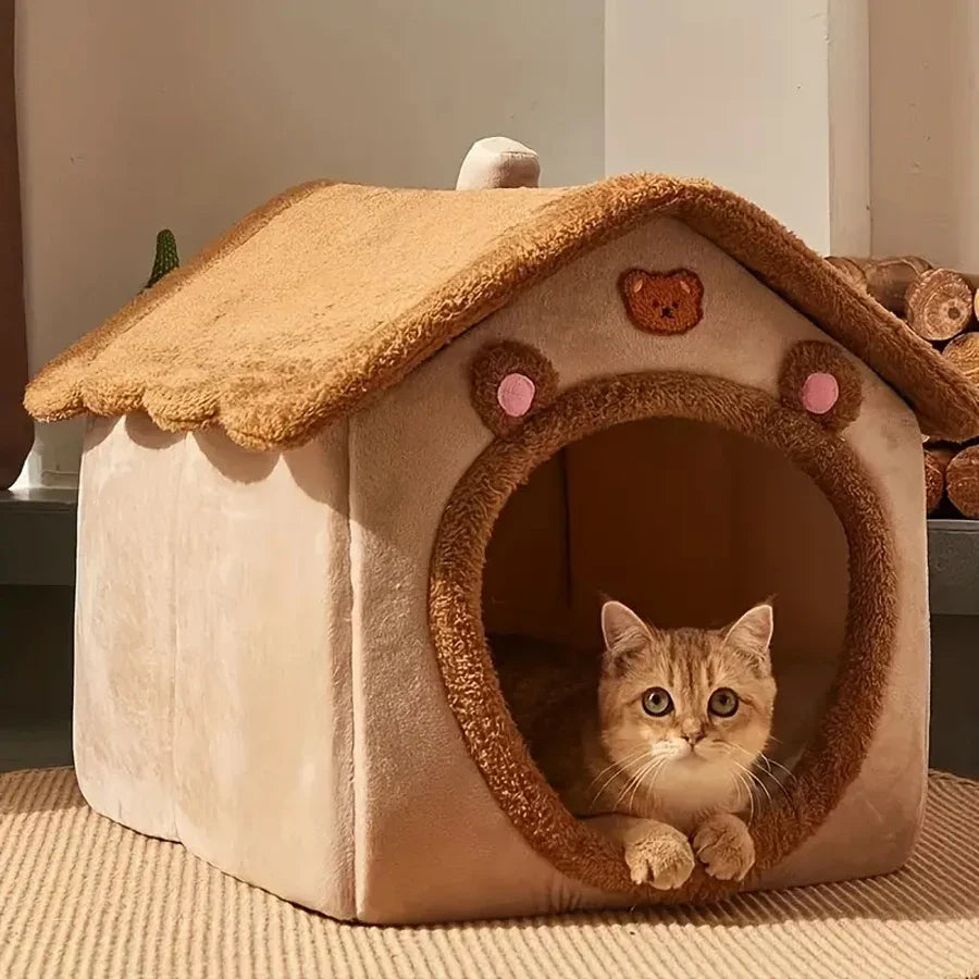 Cats